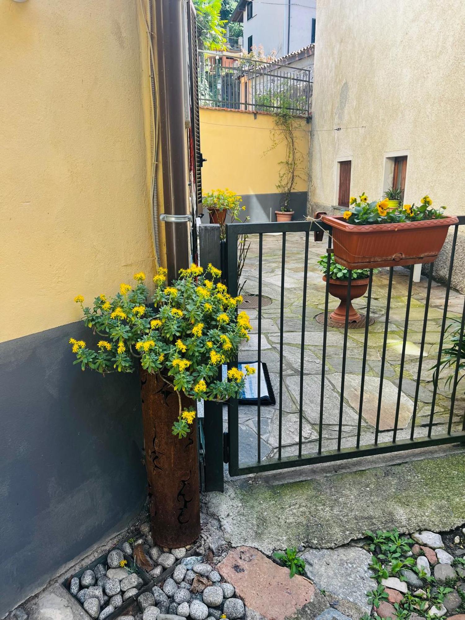 Casa Emma * Porto Ceresio